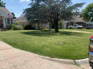 Debra R.'s Grass Cutting service result