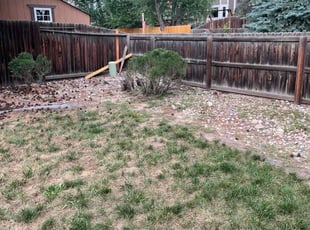 Bush Trimming by Riccardo Marquez for Carrie D. in Colorado Springs, CO