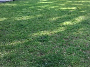 Cleanups by Larry Watson for Kaitlin P. in Norfolk, VA