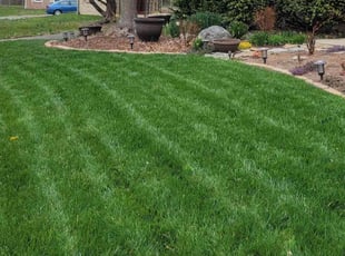 Clarice P.'s Lawn Service service result