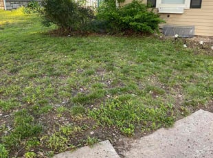 Leaf Removal by A'moray Barnes for Jennifer A. in Independence, MO