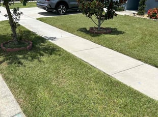 Caroline F.'s Lawn Mowing service result