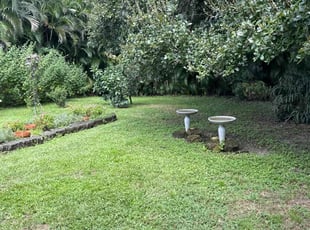 Jaeden J.'s Yard Cutting service result