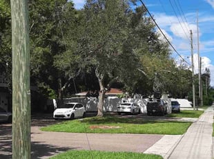 Cleanups by Derrick Smith for Greg B. in St. Petersburg, FL