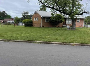 Alicia J.'s Lawn Care service result