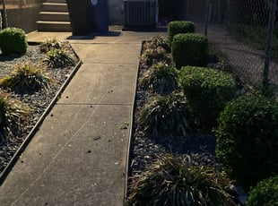 Weeding by Joseph Muluya for Toya M. in Baltimore, MD