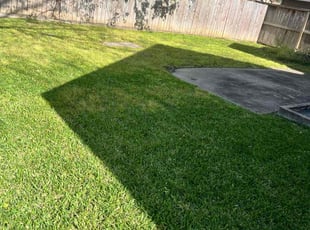 Leroy W.'s Lawn Service service result