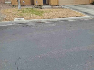Leaf Removal by Keith Arvo for Brittney W. in Las Vegas, NV