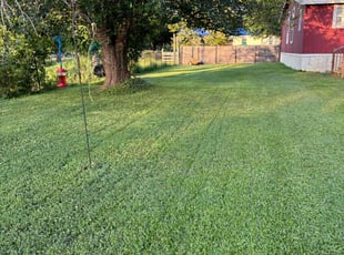 Jason K.'s Grass Cutting service result