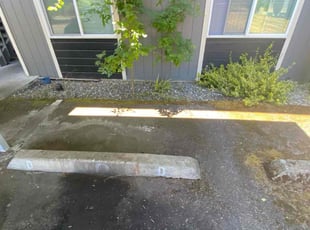 Miguel S.'s Bush Trimming service result