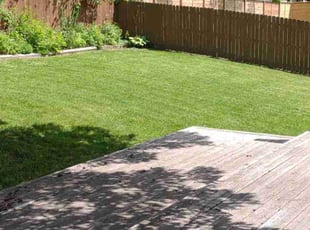 Mariya G.'s Yard Cutting service result