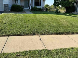 Kelly O.'s Yard Cutting service result