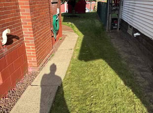 Christelle L.'s Lawn Care service result