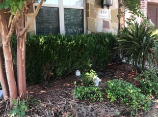 Weeding by Shameem Mohmand for Larry G. in Irving, TX