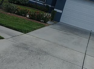 Bush Trimming by Louis Reele for Jason B. in Riverview, FL