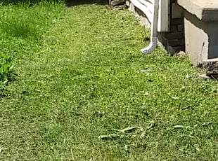 Cleanups by Chris Slone for Nina G. in New Albany, IN