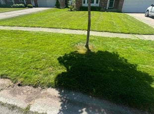 Ahmad N.'s Yard Cutting service result