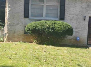 Bush Trimming by Datrick Williams for Melody L. in Kansas City, MO