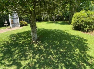 Patricia B.'s Lawn Service service result