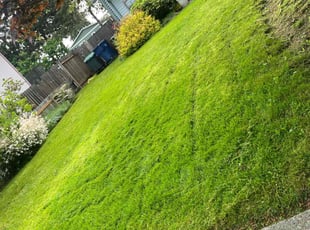 Justin M.'s Lawn Service service result