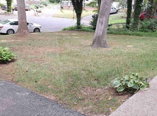Leaf Removal by Charles Metzger for LeAnn O. in Midlothian, VA