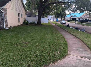 Julia T.'s Lawn Service service result
