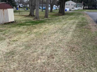 Leaf Removal by Kenneth Mccarthy for Patrick F. in Wethersfield, CT