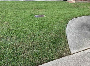 Hollie C.'s Lawn Mowing service result