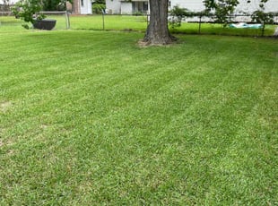 Jenny B.'s Lawn Care service result