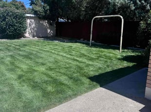 William F.'s Lawn Mowing service result