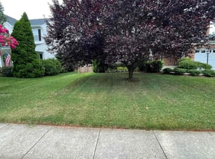 Linda M.'s Grass Cutting service result