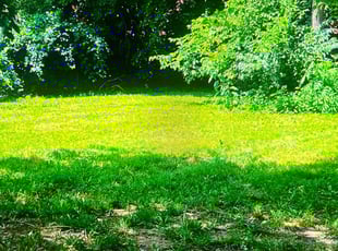 Cleanups by Jacob Russi for Kyle S. in Independence, MO