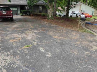 Leaf Removal by Arey Cooper for Frances B. in Riverdale, GA