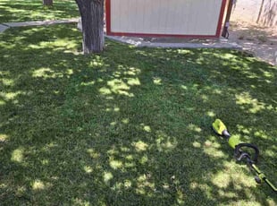 Carol F.'s Grass Cutting service result