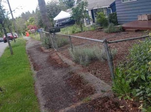 Cleanups by anthony ceniceros for Kerry K. in Seattle, WA