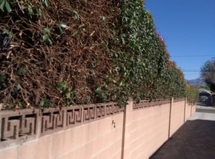 Bush Trimming by John Hurtado for Krista V. in Arleta, CA