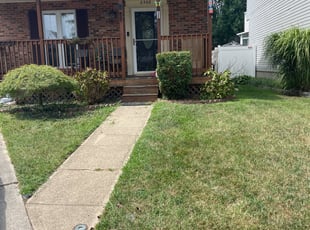 Bush Trimming by Joseph Muluya for Rose D. in Pasadena, MD