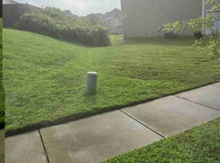 Christy K.'s Lawn Care service result
