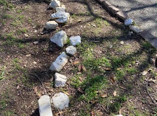 Leaf Removal by Chris Rivera for Jennifer B. in San Antonio, TX