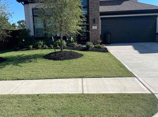 Amy R.'s Lawn Mowing service result