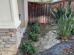 Bush Trimming by Mario Monje for Tamika N. in Temecula, CA