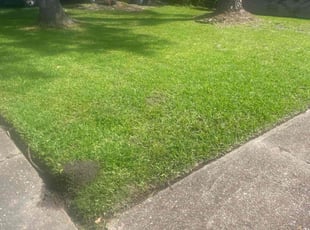 Margie R.'s Lawn Maintenance service result