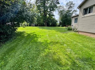 Justin D.'s Lawn Mowing service result