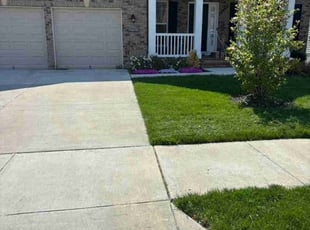 Arthera S.'s Lawn Mowing service result
