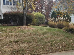 Leaf Removal by Gabriel Gray for Nicole j. in Indian Trail, NC