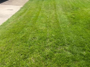 Matt C.'s Lawn Mowing Service service result