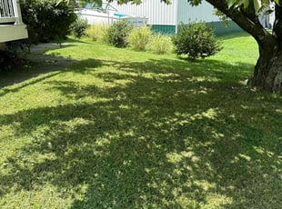 Katrina C.'s Lawn Care service result