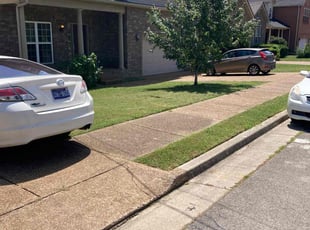 Joseph D.'s Lawn Care service result