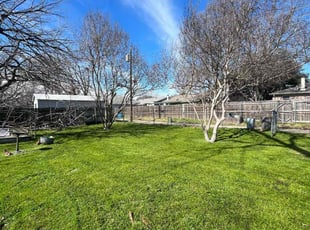 Vilma O.'s Lawn Service service result