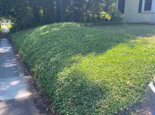 Landscaping by Demetetius Roberts for Michael S. in Tallahassee, FL
